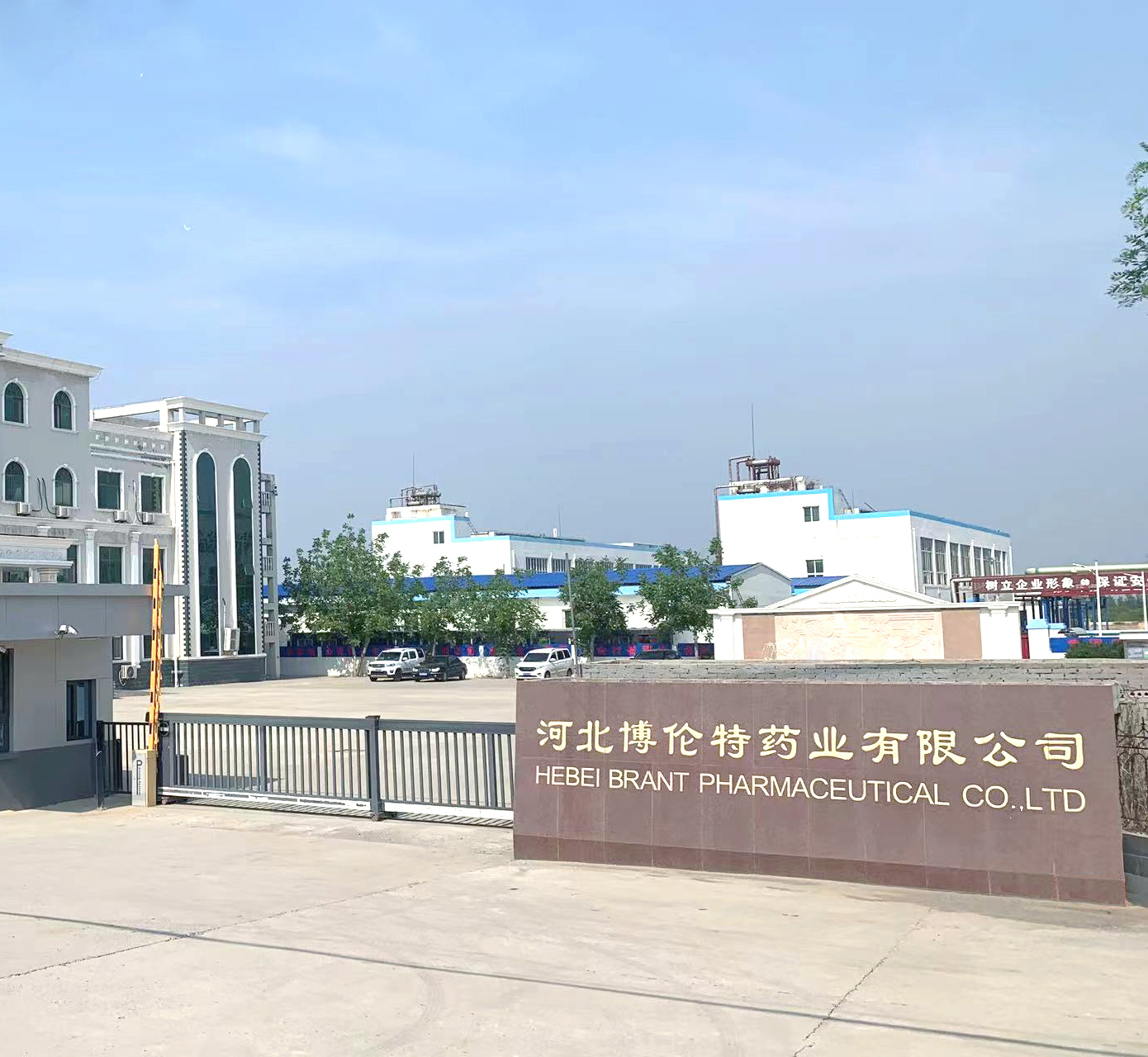 河北6686体育集团官网有限公司
